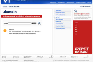 Domain Name Search Domain Name Search